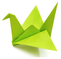 Crane