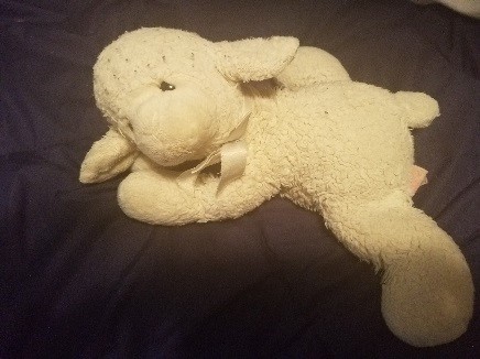 Lamby