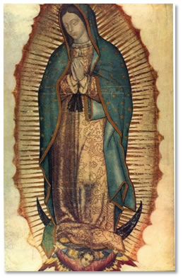 Our Lady of Guadalupe