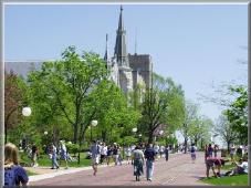 Looking East, up the Mall